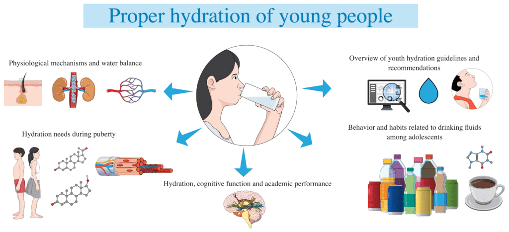 Hydration and Its Link to Nutritional Balance